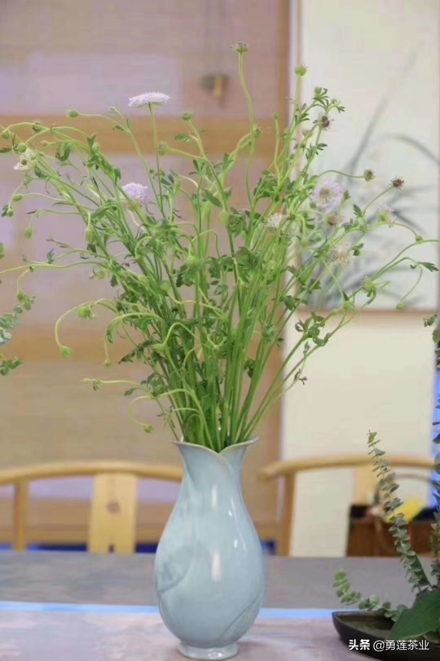 人生六大境界手写,人生六大境界有哪些