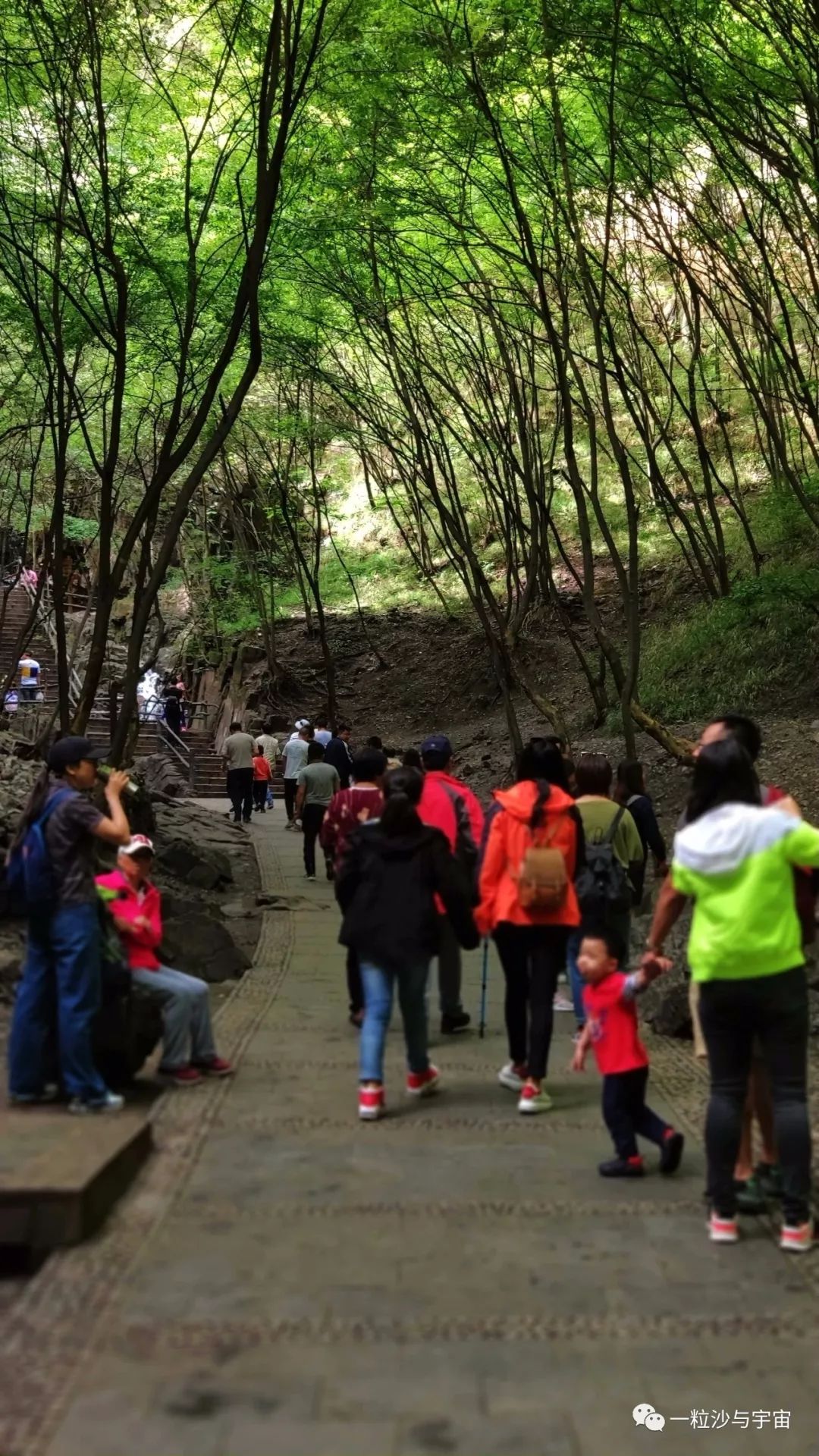 野三坡百里峡天气,野三坡百里峡二日游