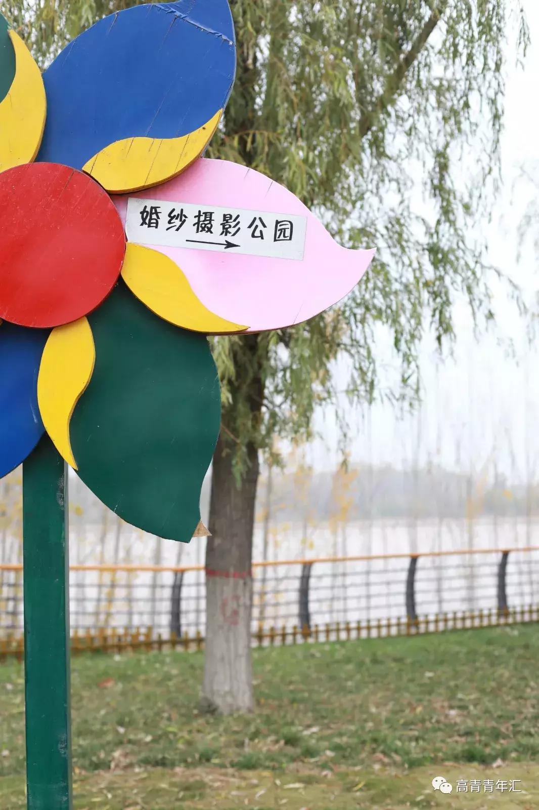 淄博高青婚礼红旗车队,高青国井南苑婚礼