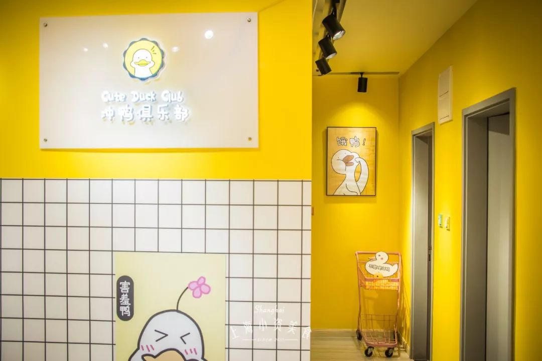 2019宠物排名,2022宠物排行榜