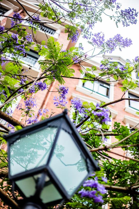 新川外国语学校建校时间,新川外国语学校2021年