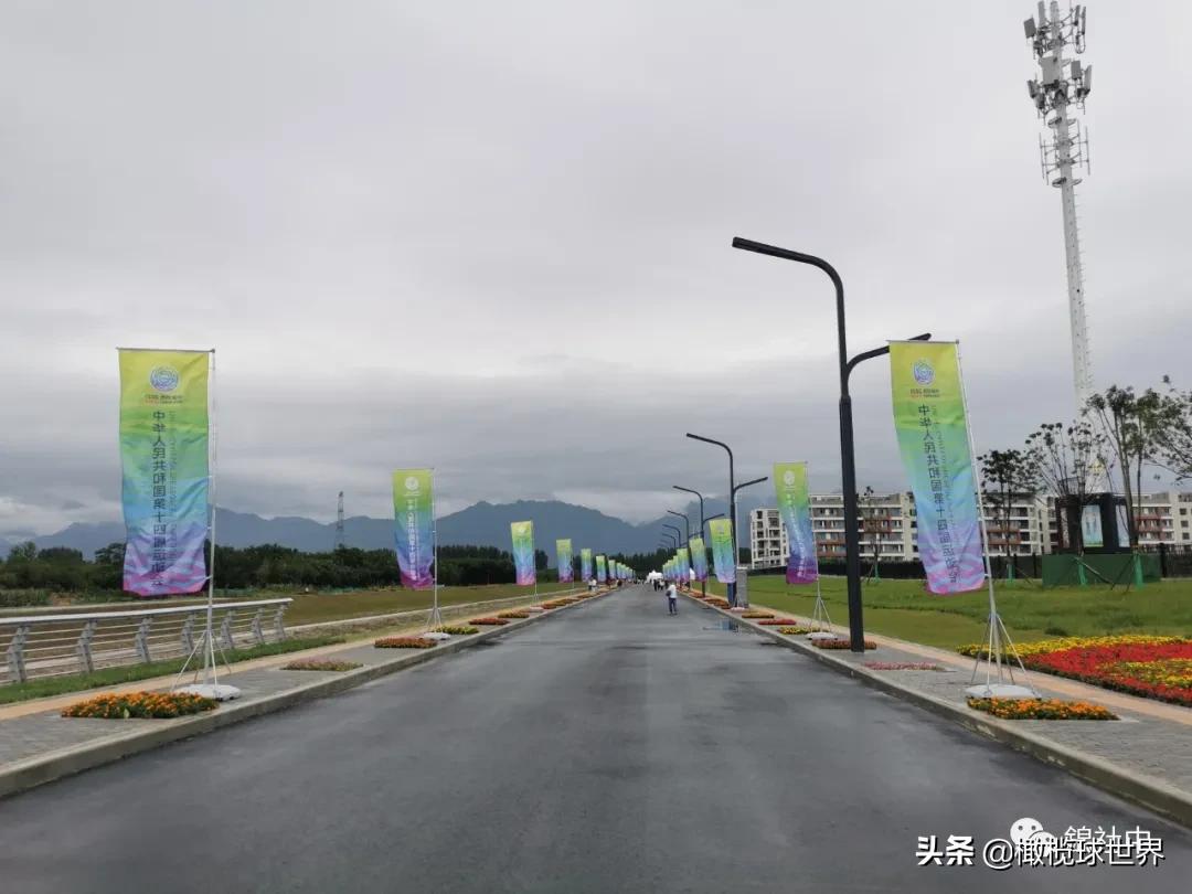 我和我的体育故事,我和运动会的故事