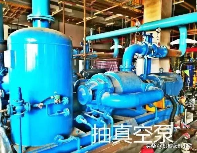 最先进发电厂,国内最大的十大电厂