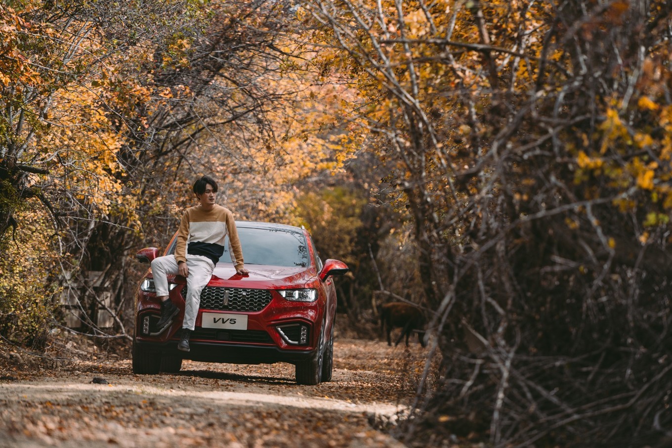 自驾云南滇藏,自驾滇西北旅游