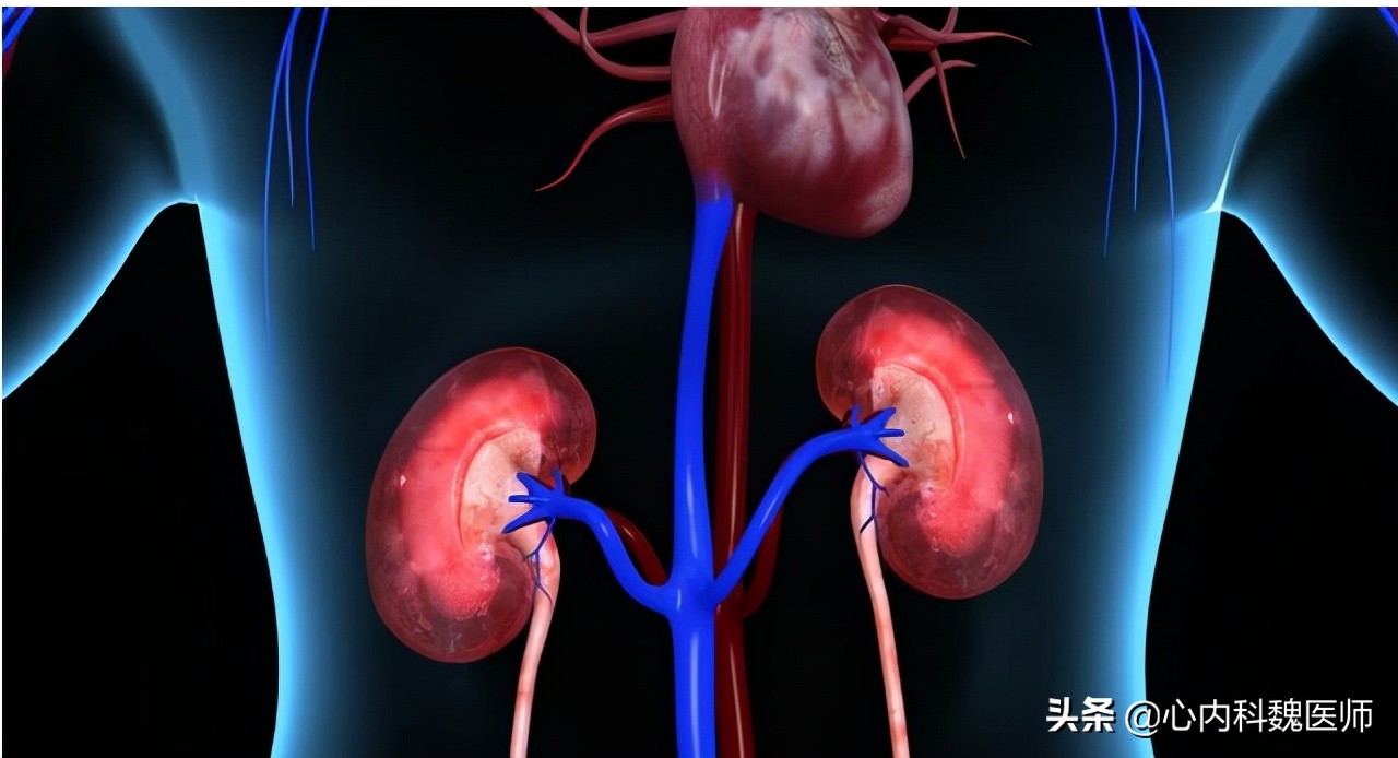 阿利沙坦能降压同时降尿酸吗,肾病高血压可以吃阿利沙坦酯