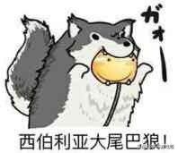 玩了8年的游戏,玩了八年的游戏被女朋友删了