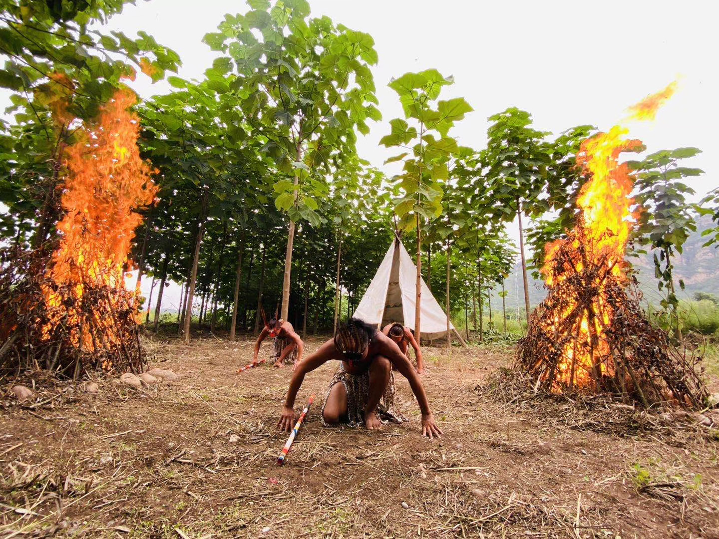 井陉豌豆农庄视频,河北省井陉县豌豆农庄