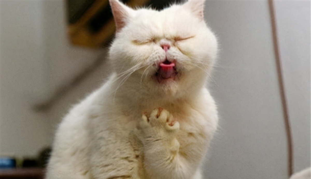 螺蛳粉为什么这么臭对人体有害吗,螺蛳粉臭臭的对身体有害吗