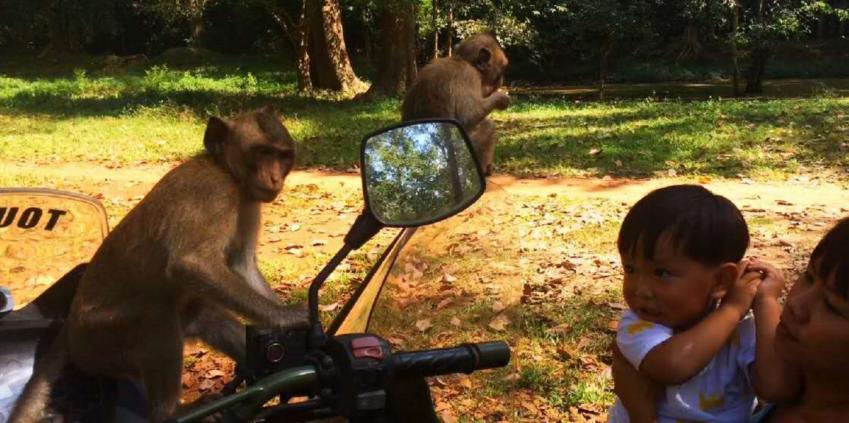 他叫辛巴，不是狮子王，8岁穿越12国：最好的教育，永远在路上