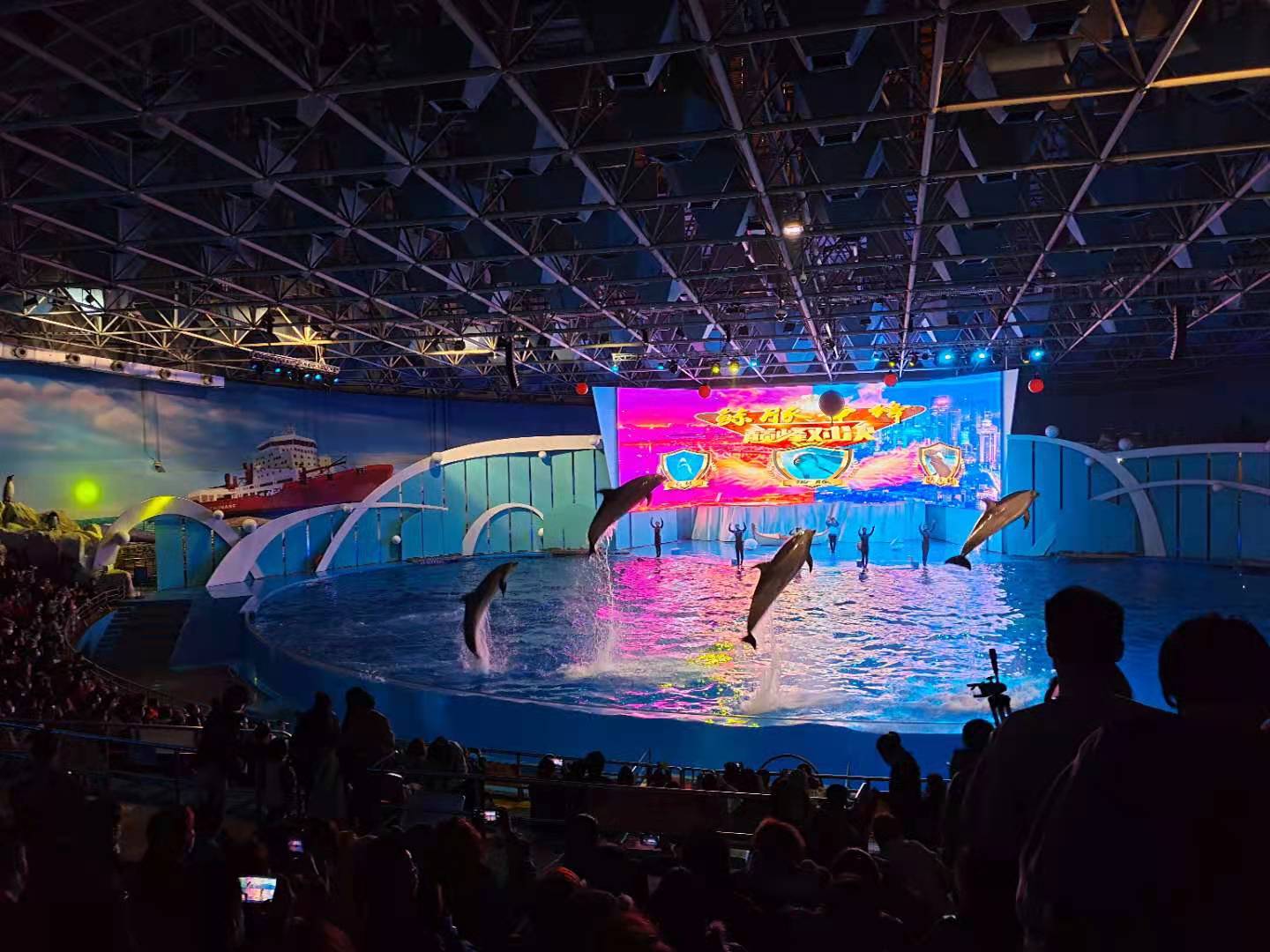 青岛极地海洋世界停车攻略,青岛海昌极地海洋公园购票攻略