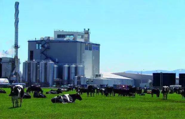 a2大中华区CEO访谈：关于a*奶2**粉和A2新研究