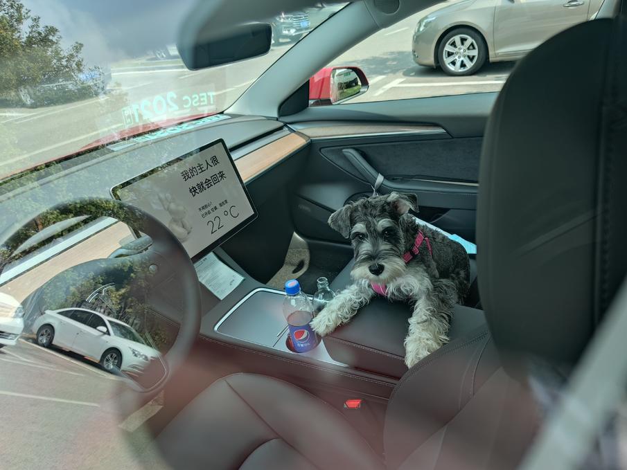 二手的新能源车能买吗,买二手新能源被坑