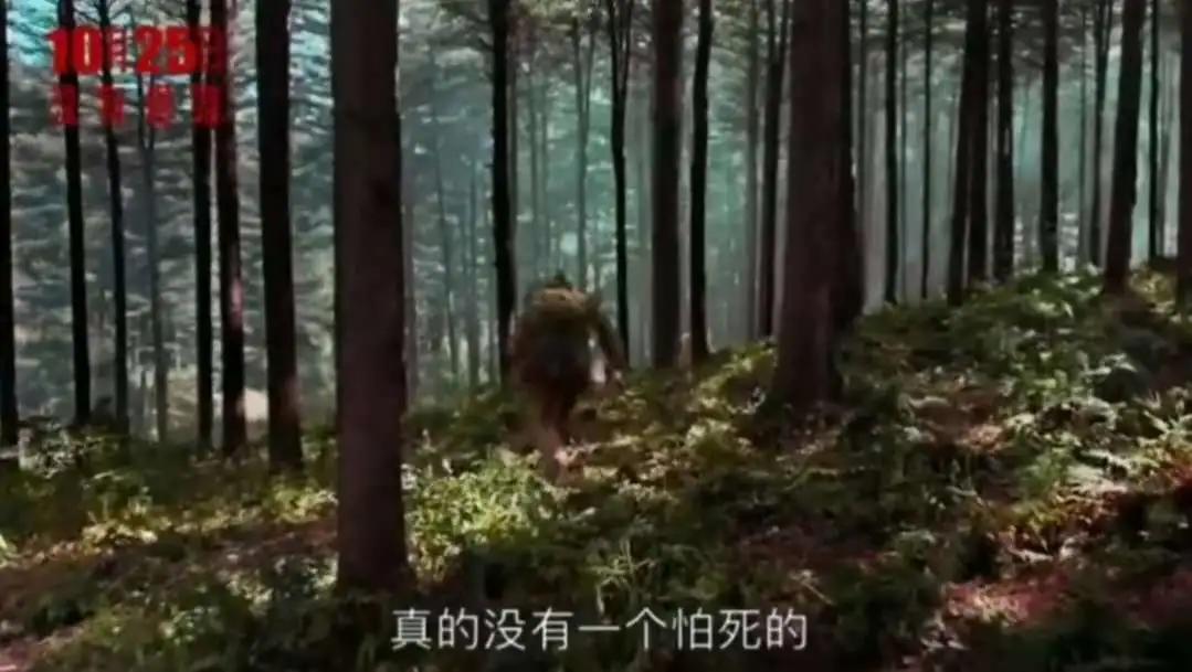 《金刚川》:他们不怕死,怕的是战友死了,自己倒下了