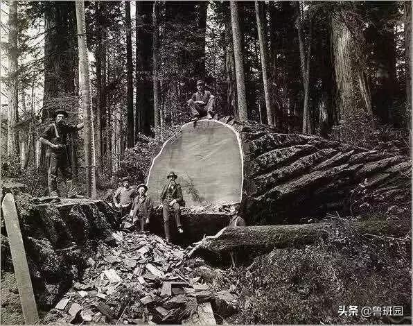 木皮起泡原因分析及解决办法,科技木皮开裂起泡