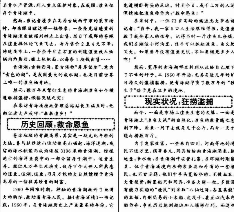 青海湖淡水湟鱼,青海湖湟鱼洄游产卵最佳观赏时间