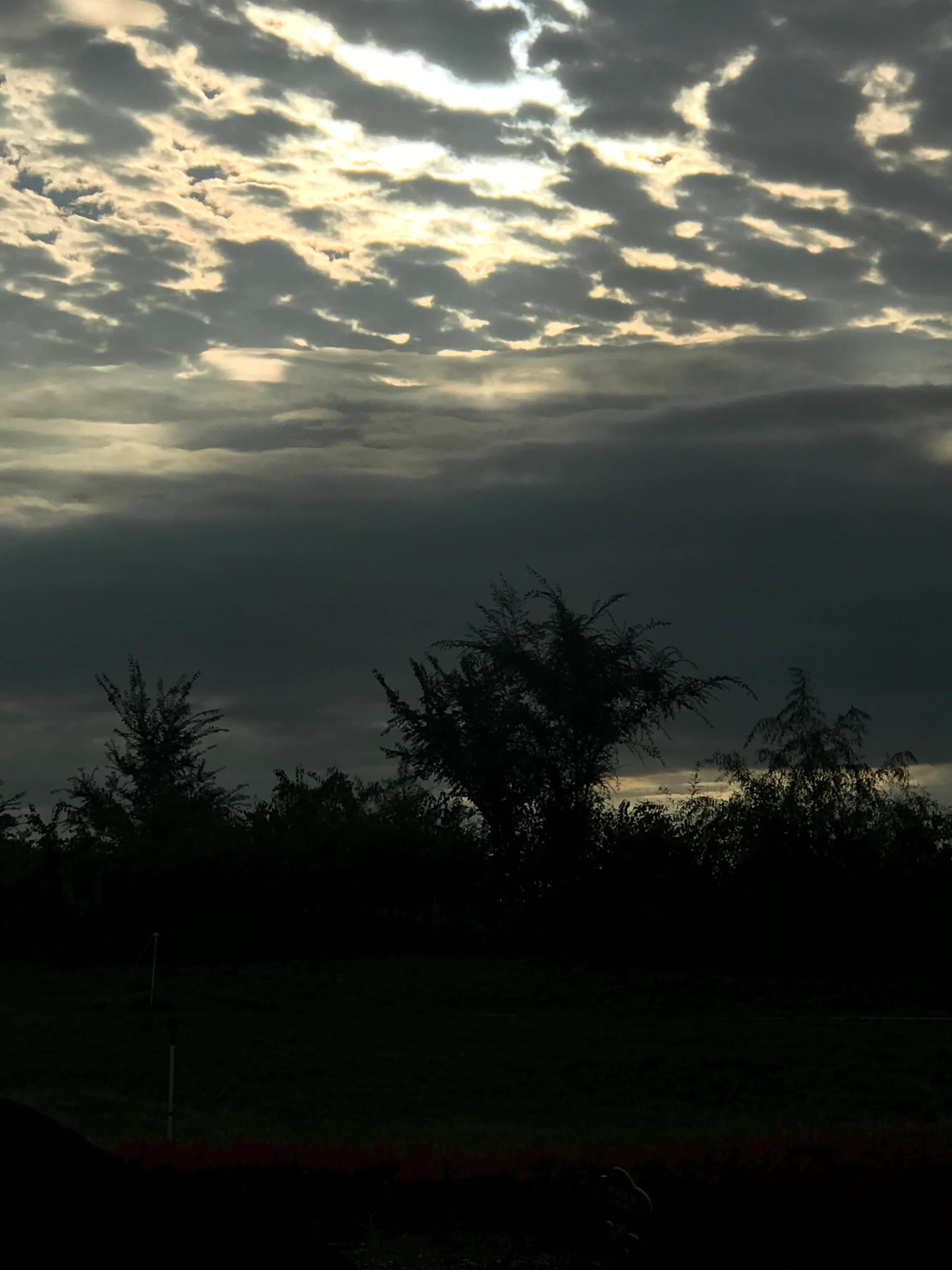 辉南街早市开了吗,辉南朝阳镇早市开门营业时间