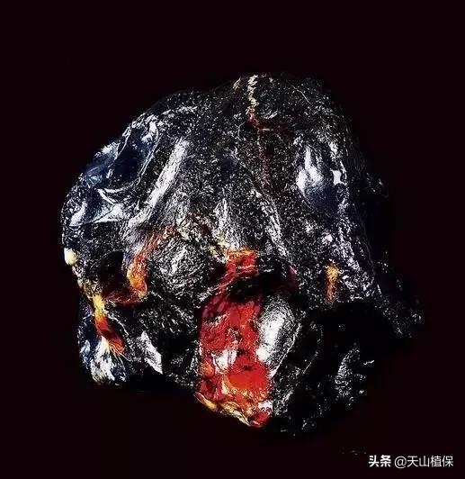 怎么捡到价值极高的石头,捡到一块石头价值千万