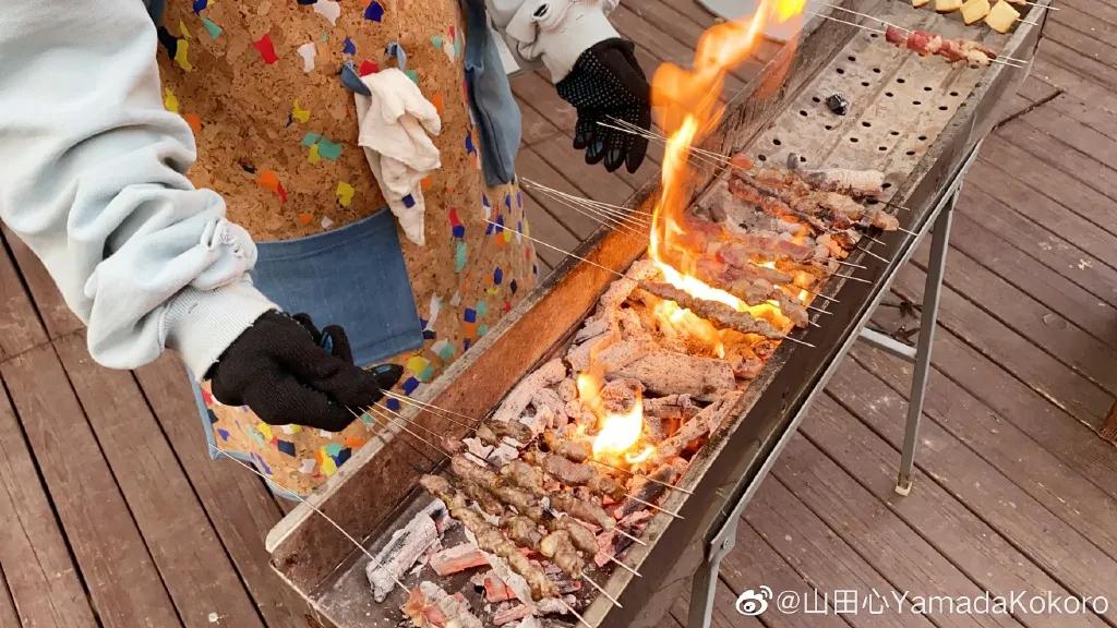 城市版的李子柒,李子柒真实的豪宅变化