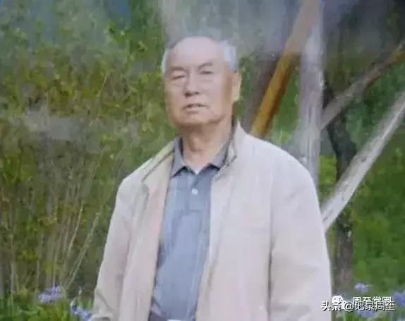 周至旅游攻略秦岭四宝景区,周至旅游景点大全自驾游线路图