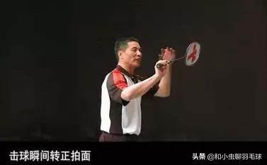 羽毛球基本动作文字介绍,羽毛球的动作描写