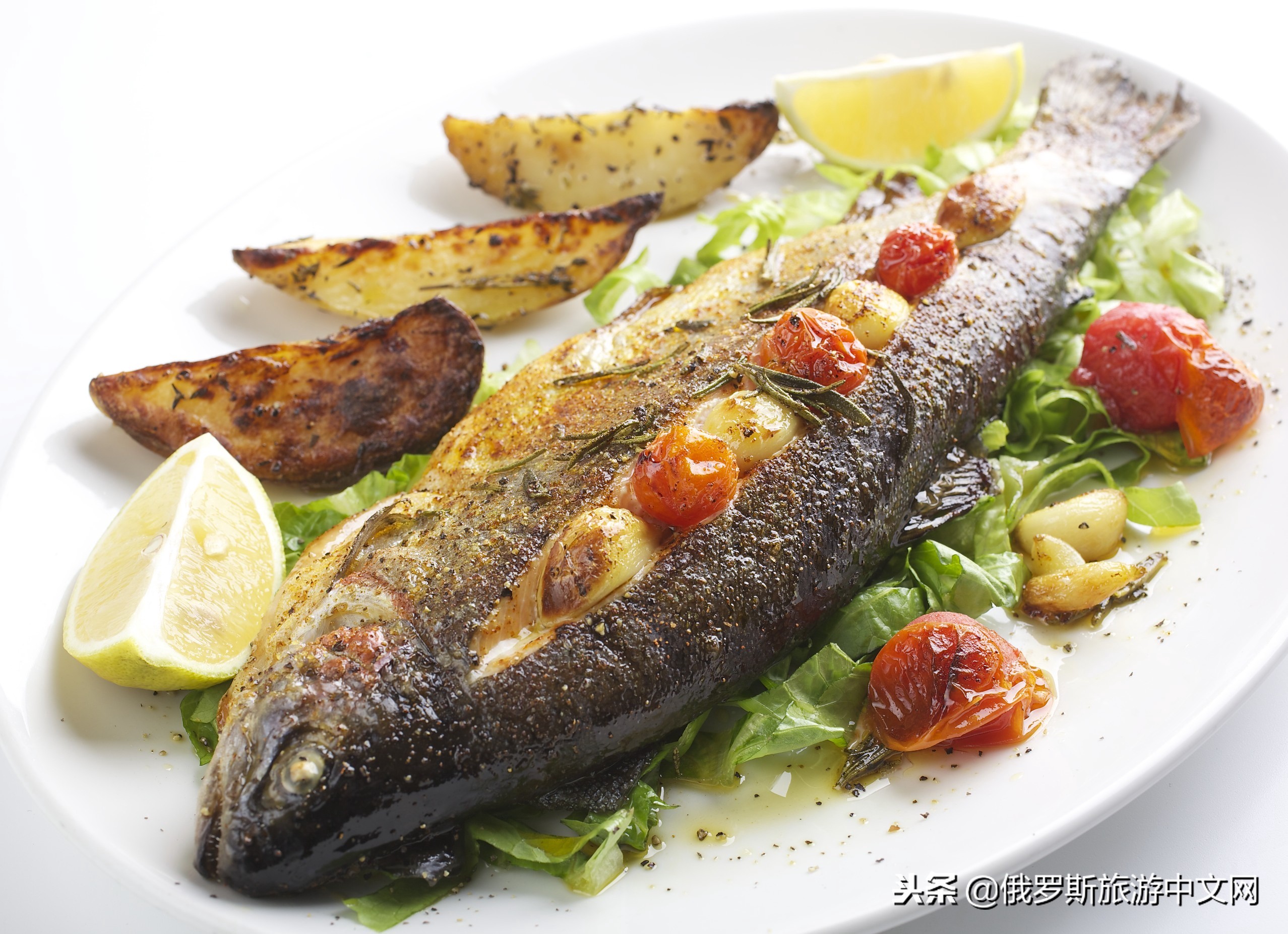 俄罗斯鱼各种做法,舌尖上的俄罗斯传统美食汤品