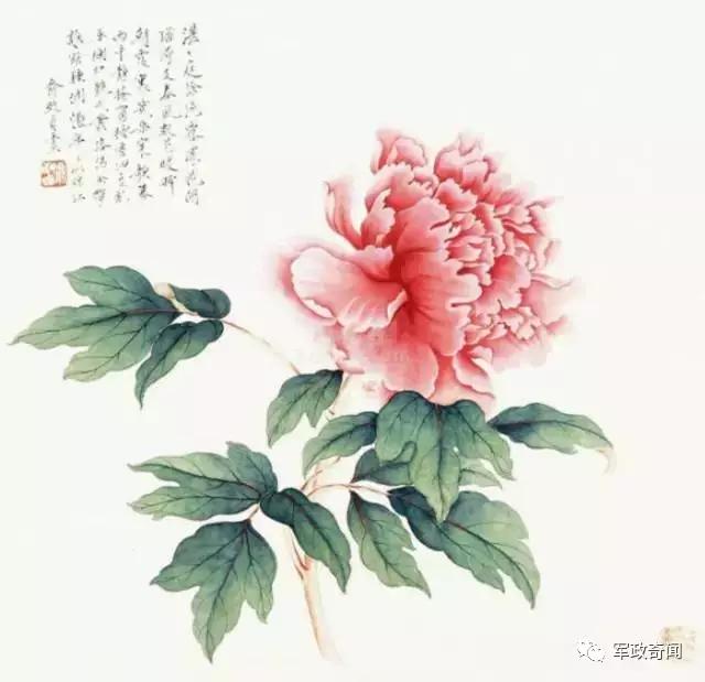 年龄顺口溜100句,女人各个年龄顺口溜