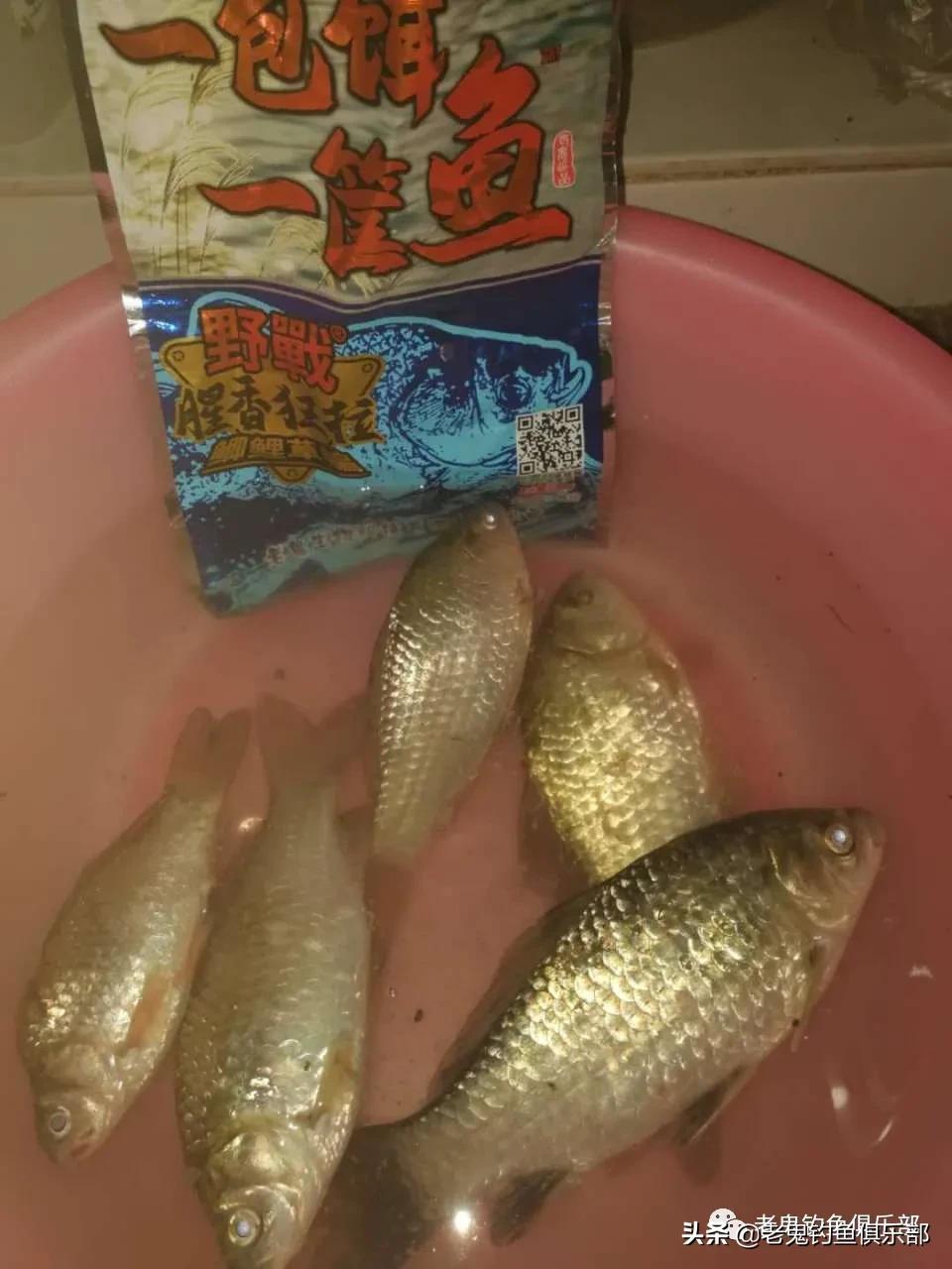 下了班去月湖解毒，速战速决