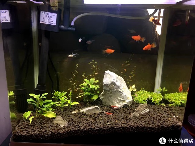 施耐德皓呈系列小夜灯现场效果,施耐德颜值开关插座