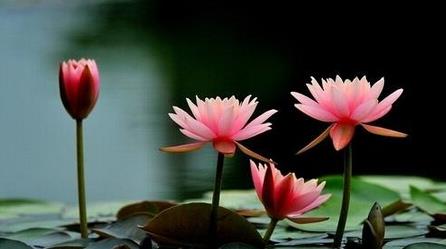 真正厉害的人懂得未雨绸缪,真正厉害的人是懂得隐忍的人