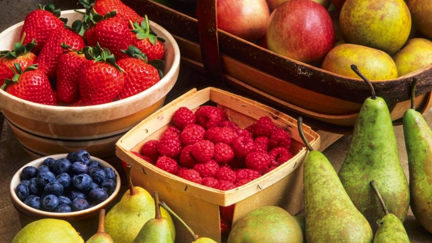 新西兰旅游攻略简介英文版,新西兰旅游在线申请攻略