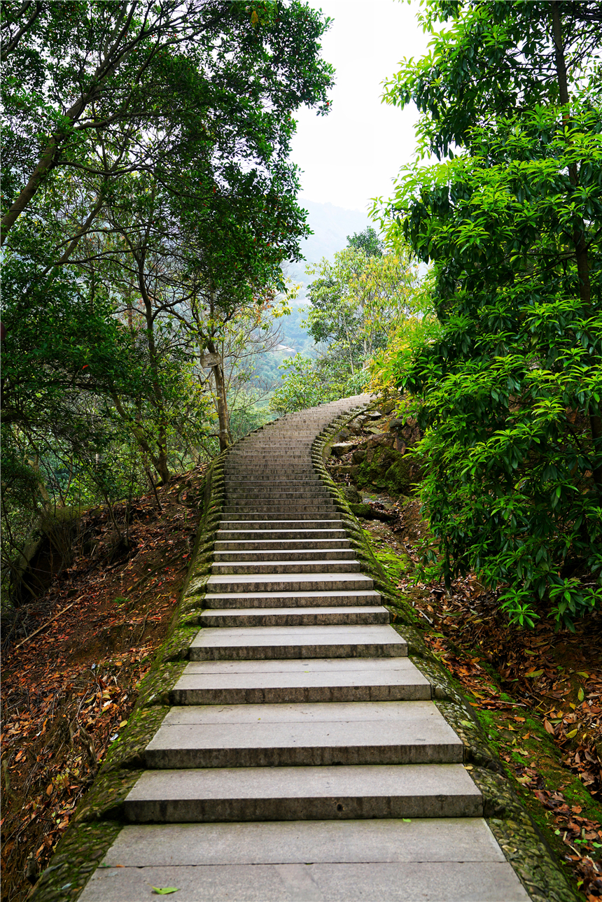 江南水乡旅游攻略四天三晚,温州旅行攻略四天三夜