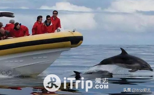 塔斯马尼亚一日游攻略,塔斯马尼亚攻略