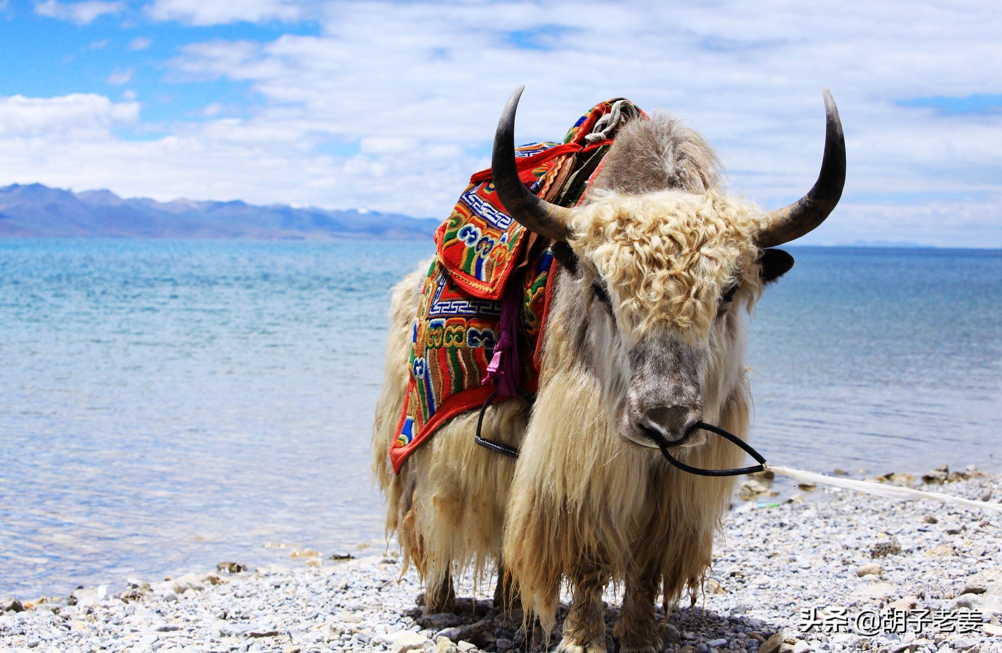 西藏三大圣湖哪个湖最美,纳木错三大圣湖之首