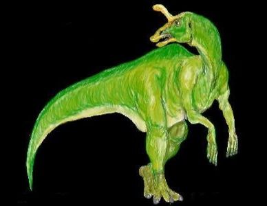 山东哪里有恐龙乐园,山东恐龙和其他恐龙对比