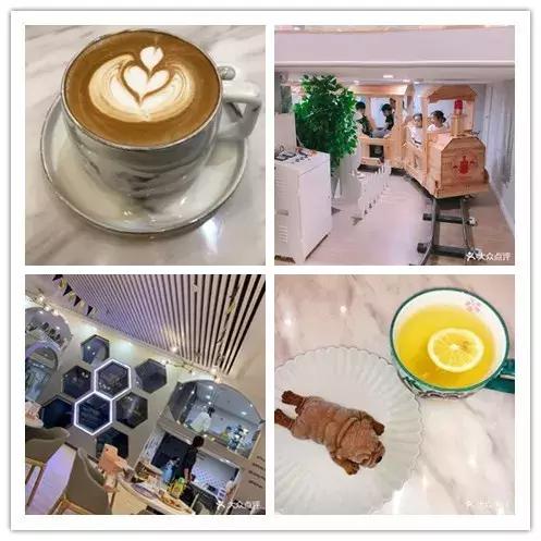 青岛宝妈夏日打卡的8家亲子咖啡餐厅，竟是这几家，位置曝光…