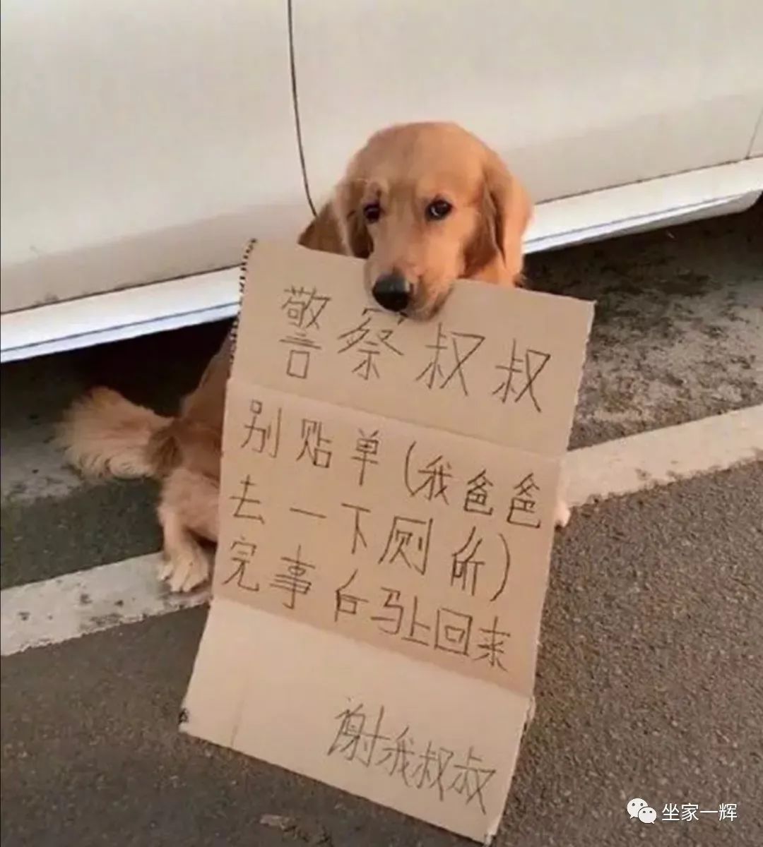 最新防割韭菜套路骗局揭秘,揭秘骗子那些割韭菜套路