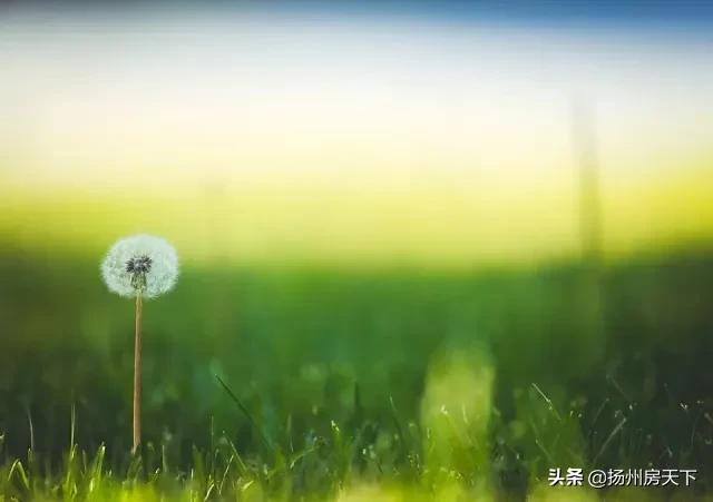 物业抗击疫情表扬信,物业抗击疫情评论