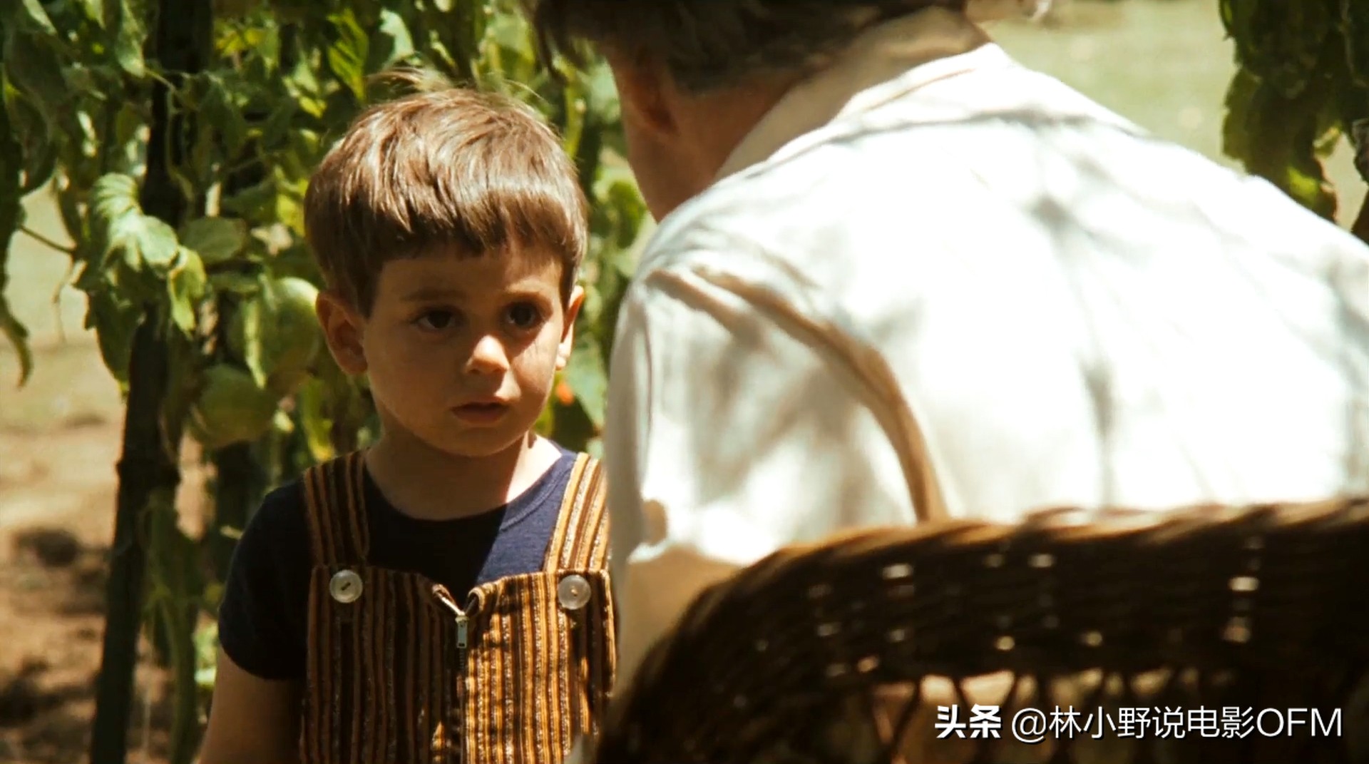 床上的马头是真的假的？桑尼挨了多少枪？好莱坞经典「教父」解密