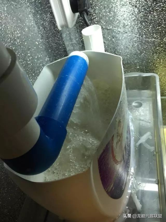 垃圾桶旁边的四方鱼缸，捡回去养了一缸金鱼，别说还挺不错