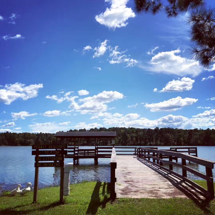 荷兰留学费用一览表,荷兰留学费用一览表最新