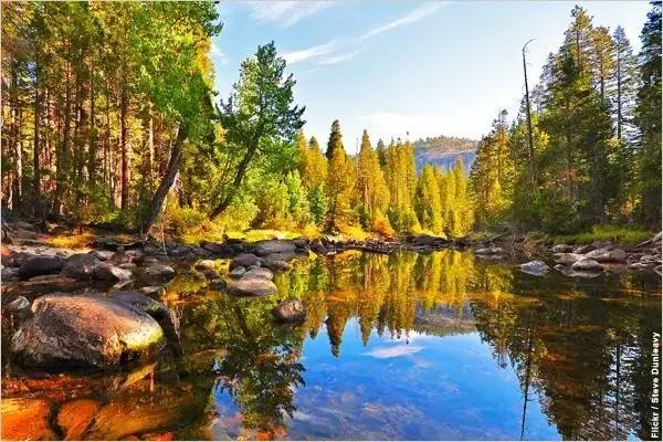 刘禹锡革新,放言刘禹锡