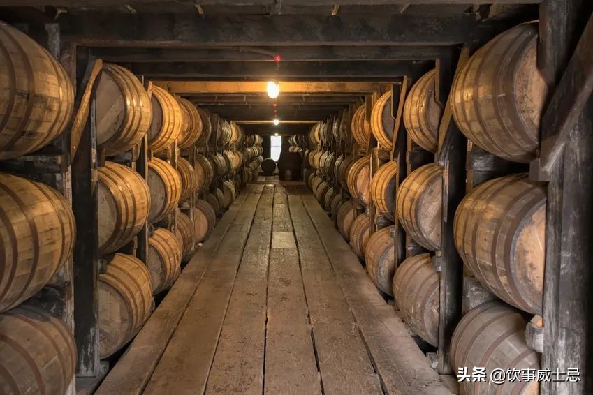 酒厂中的“伯乐”,是如何判断陈年橡木桶潜力的呢?