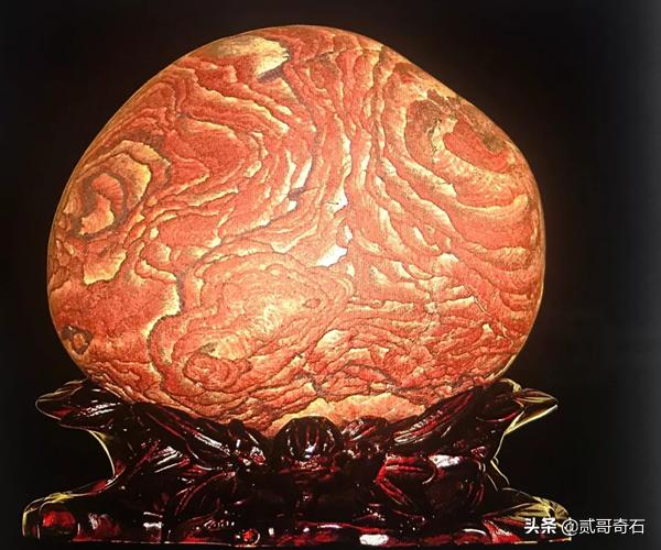 长江石芙蓉石,芙蓉石真实图片