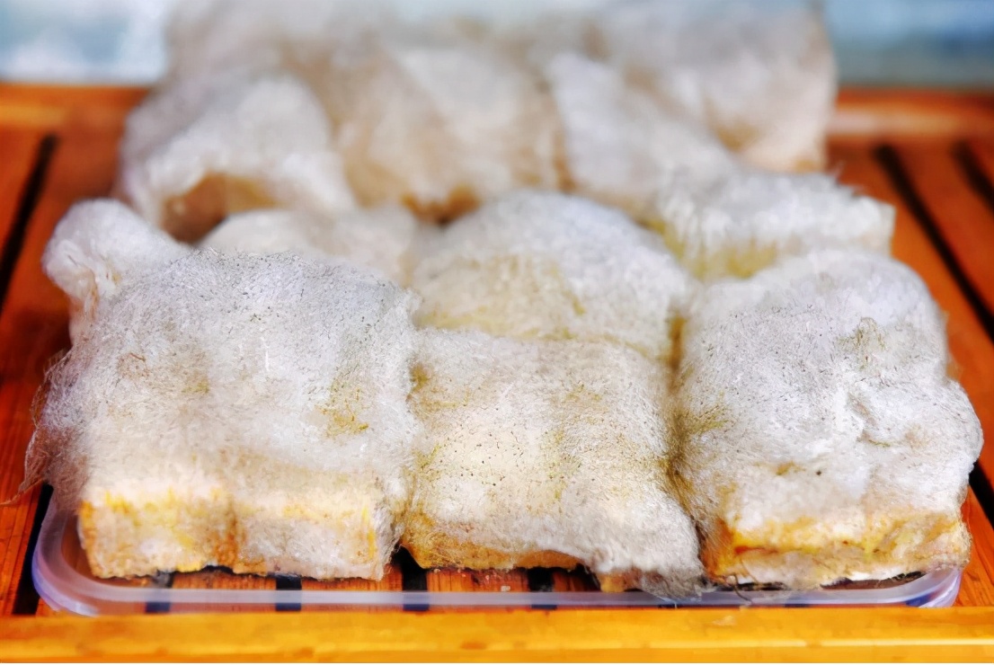 这个夏天一定要来一次浪漫的旅行,这个夏天一定要来一趟大连