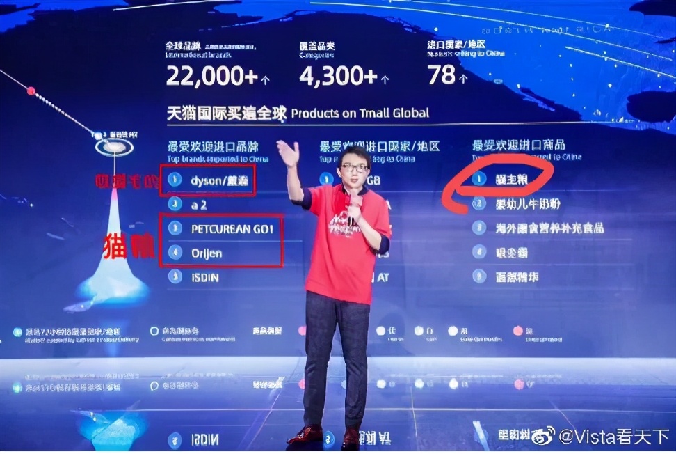 本以为养猫是为了不孤单,以为单身就可以自由