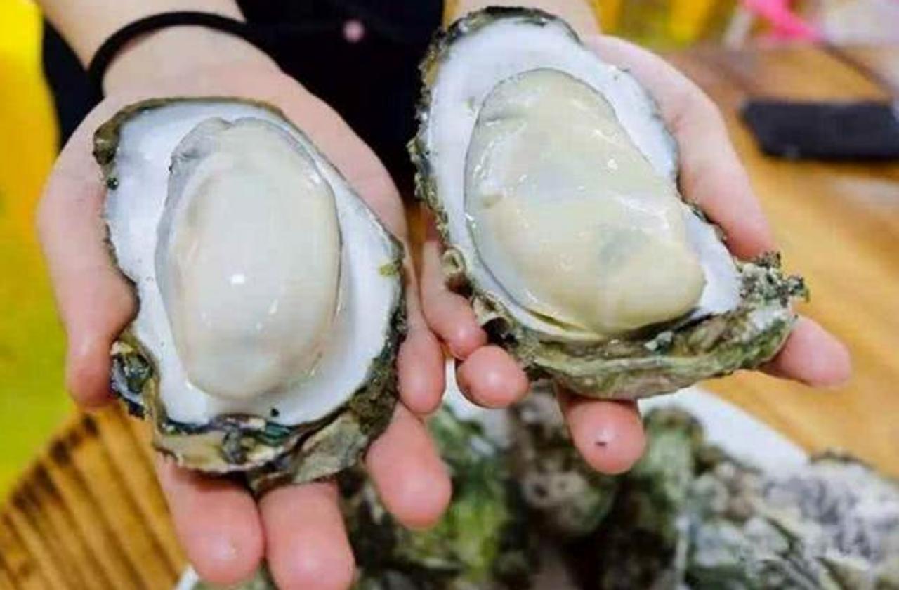 超市里的活生蚝怎么挑选,撬开生蚝怎么挑选新鲜的