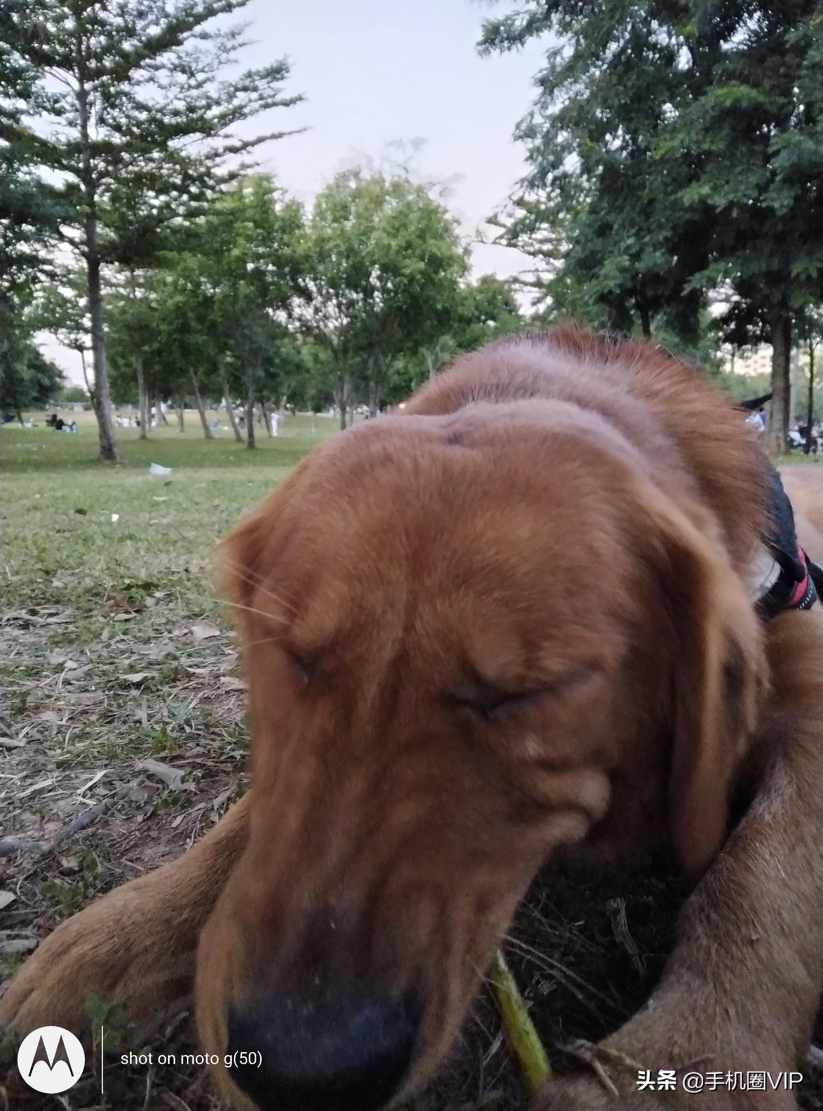 摩托罗拉g51,摩托罗拉g51详细参数