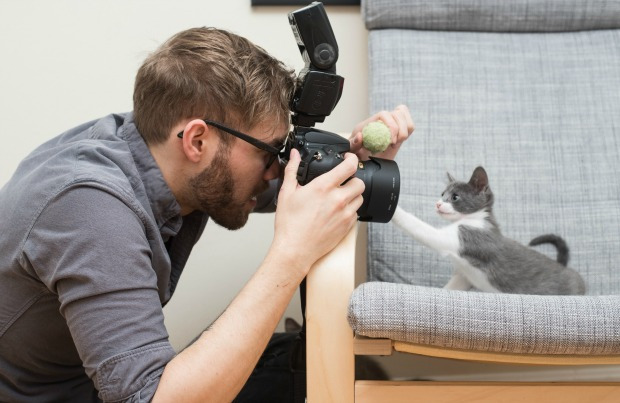 怎么给猫咪拍出好看的照片,怎样给猫拍照片
