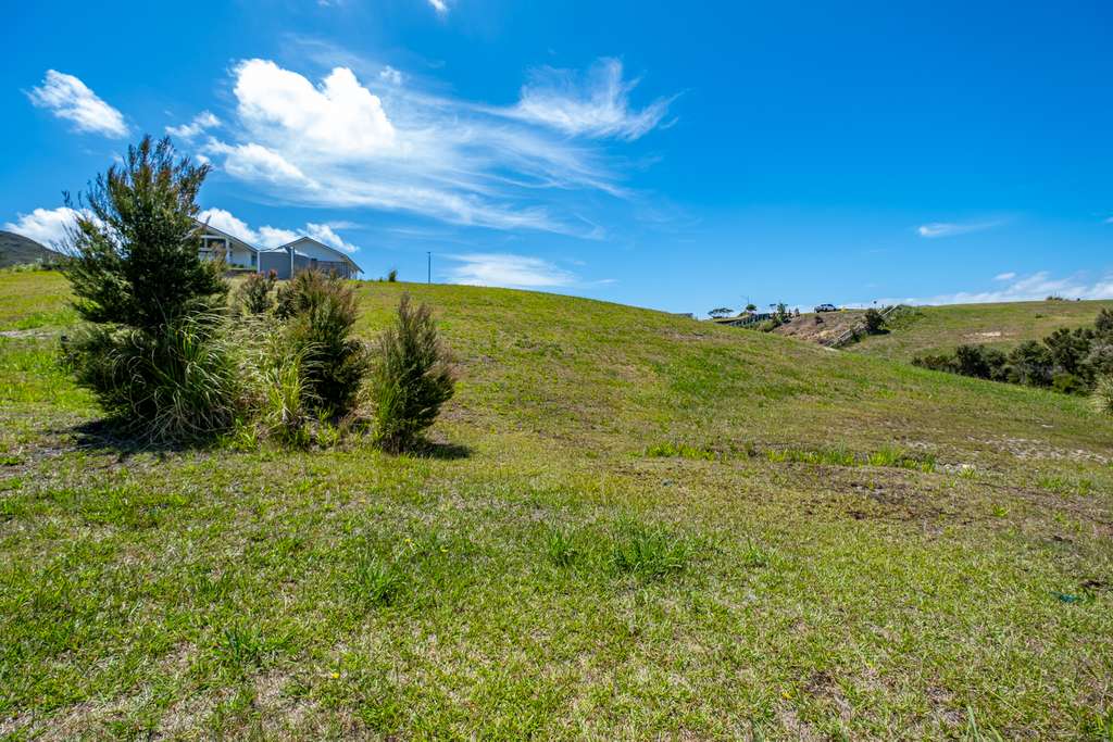 100万人民币在新西兰,100万在新西兰能买到什么车