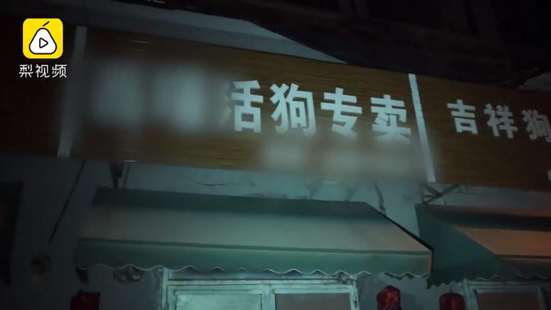 警察捕捉流浪狗,辽宁捕杀流浪狗